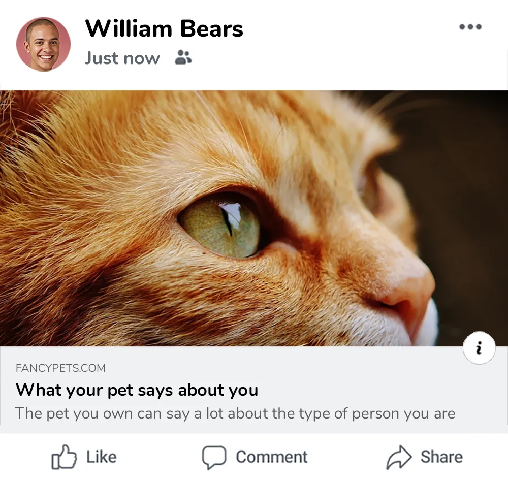 Achieve precise social visibility with control over how your WordPress content appears on social platforms. - Previews